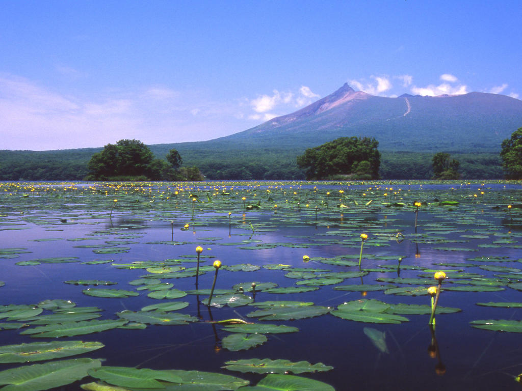 Royal Hotel Minami Hokkaido Shikabe Екстериор снимка